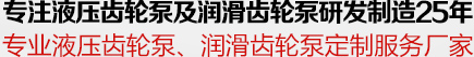 專注液（yè）壓齒輪及潤滑齒輪泵研發製造25年